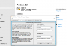 Win10系统更新管理器Wu10Man v4.3.0优化版-字节律动