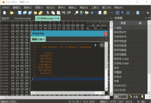 文本和十六进制编辑器010 Editor v12.0.1优化版-字节律动